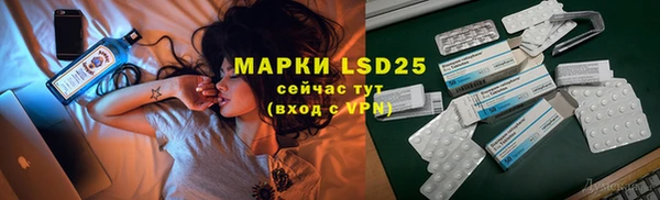 a pvp Аркадак