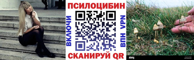 Псилоцибиновые грибы Magic Shrooms  наркотики  Нытва 
